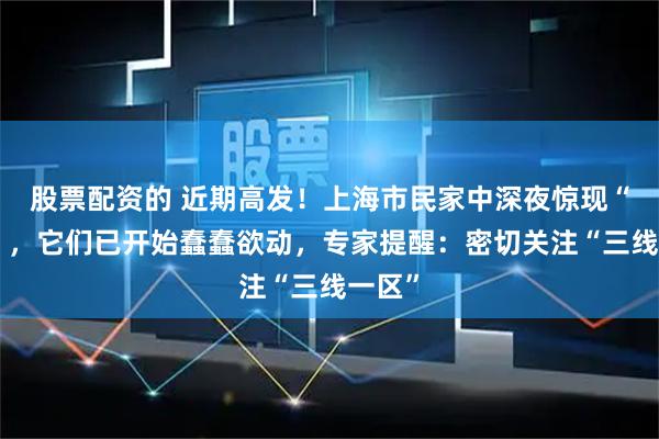 股票配资的 近期高发！上海市民家中深夜惊现“泥丘”，它们已开始蠢蠢欲动，专家提醒：密切关注“三线一区”